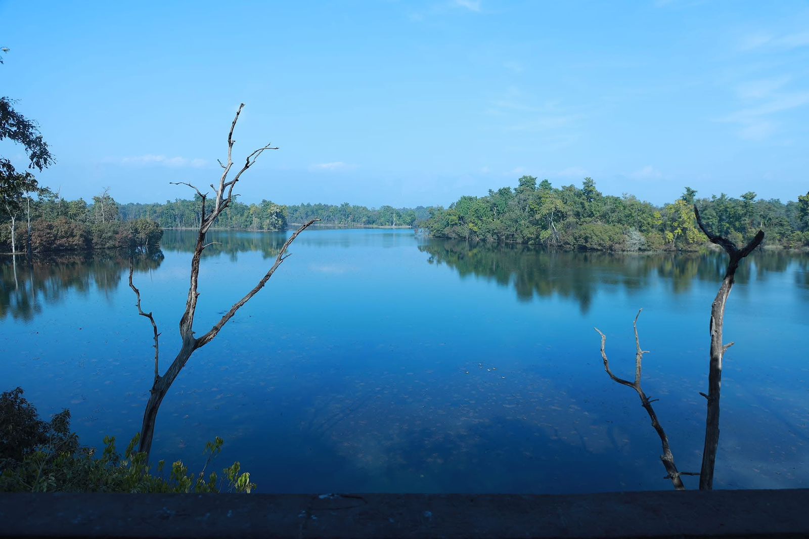 घोडाघोडी संरक्षण: हाम्रो साझा धरोहर