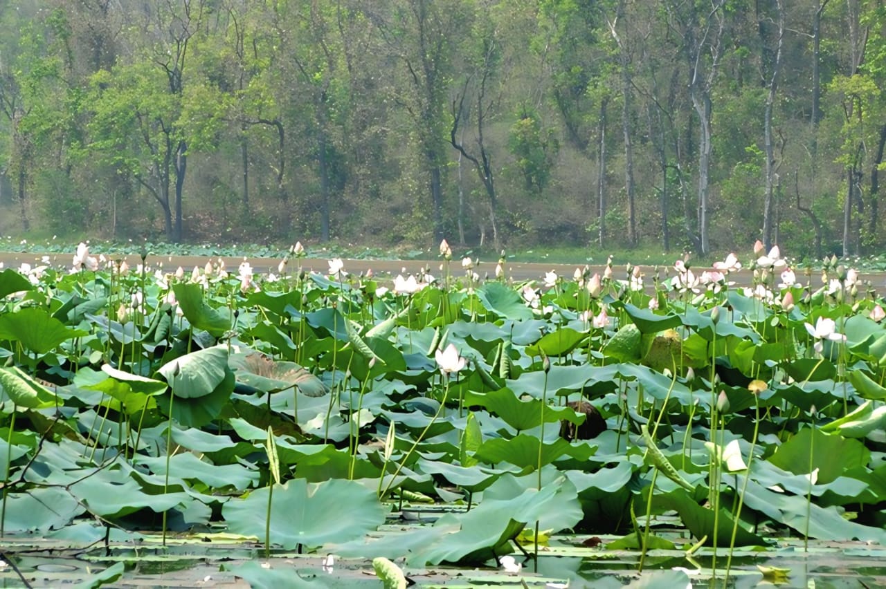 सहकार्य र प्रतिबद्धता