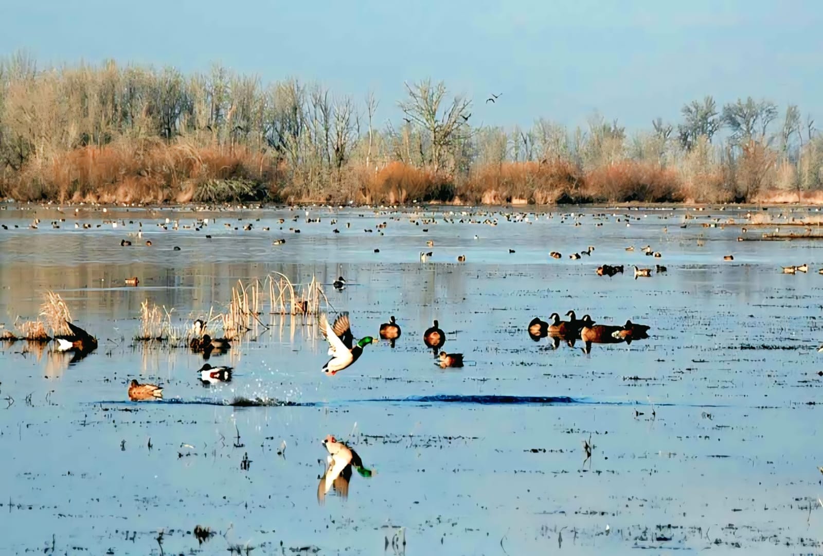 घोडाघोडी: जैविक विविधताको धरोहर